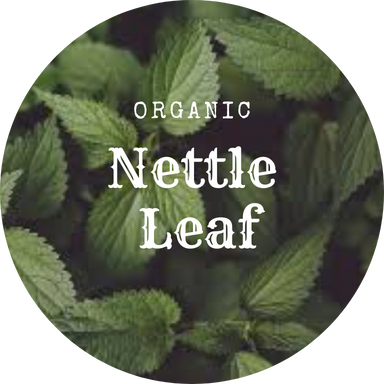 Wildcrafted loose Stinging Nettle 1oz