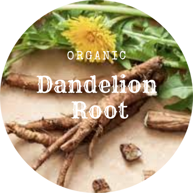 Wildcrafted Dandelion Root 1oz