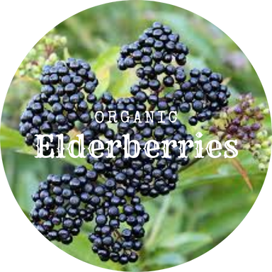 Organic whole Elderberries 1oz