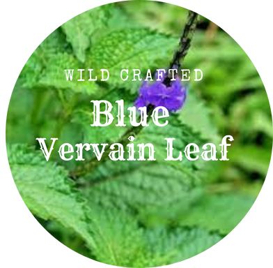 Organic Blue Vervain leaf 1oz