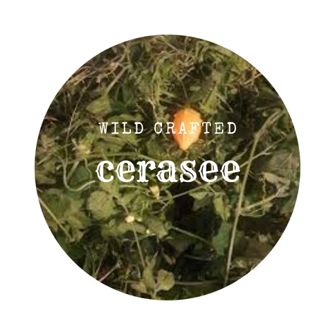 WildCrafted Cerasee