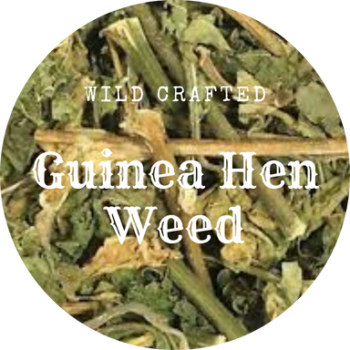 Wildcrafted Guinea Hen Weed 1oz