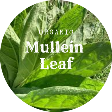 Wildcrafted Loose Leaf Mullein Flowers 1oz