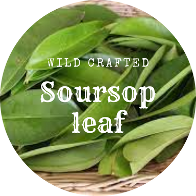 Organic Soursop Leaf 0.5 oz