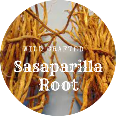 Organic Sarsaparilla Root 1oz