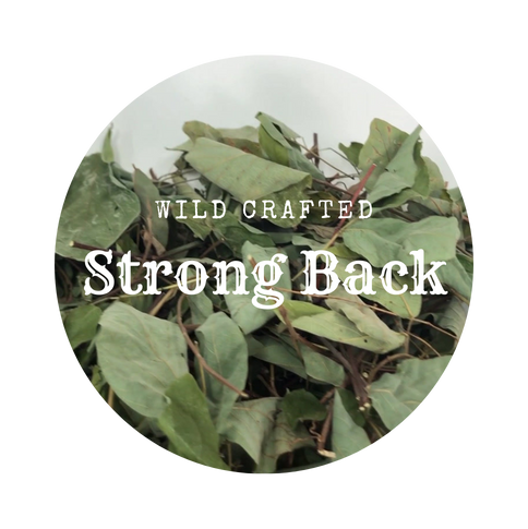 WildCrafted Strong Back 1.0 oz